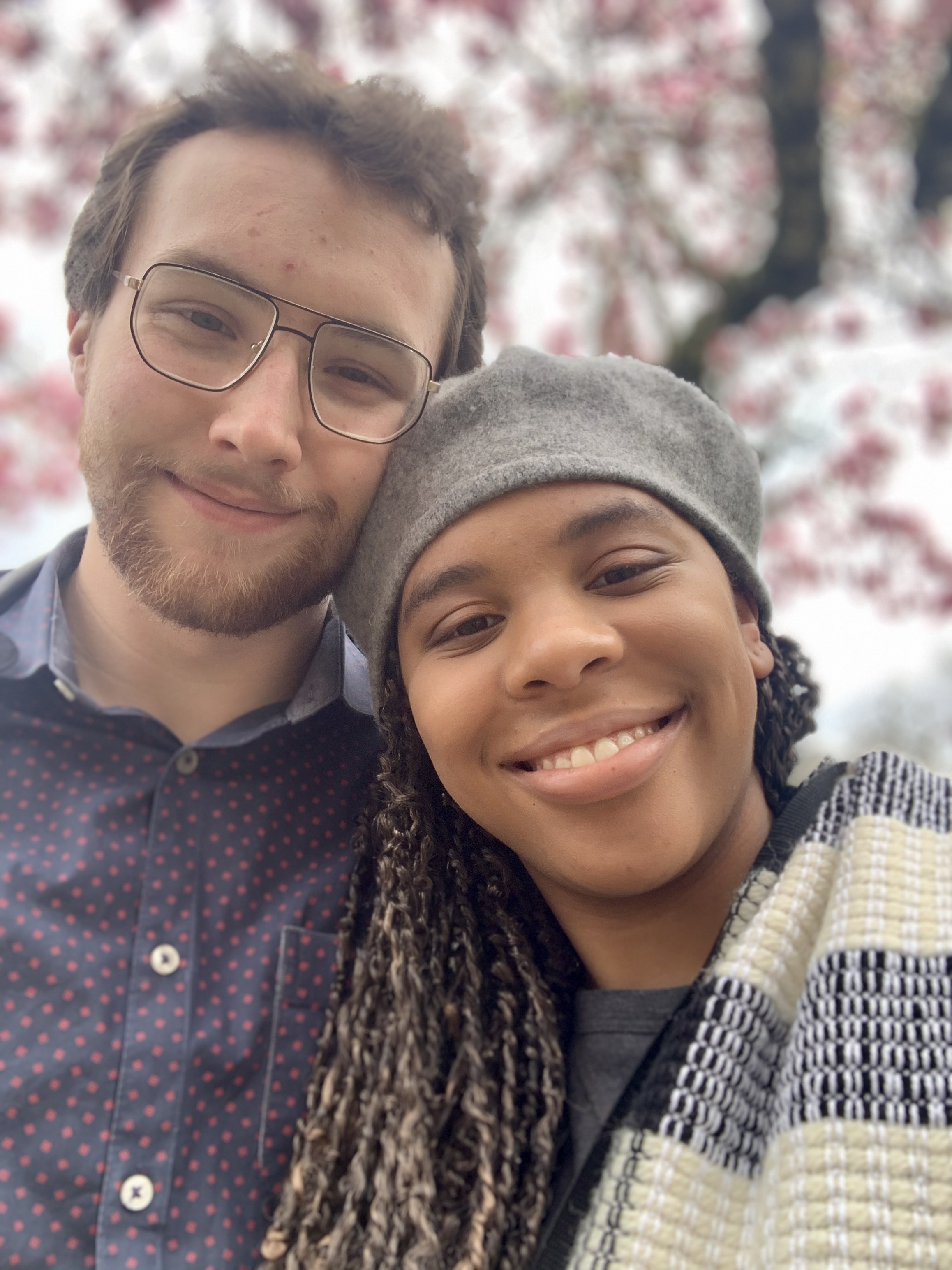 photo under cherry blossoms